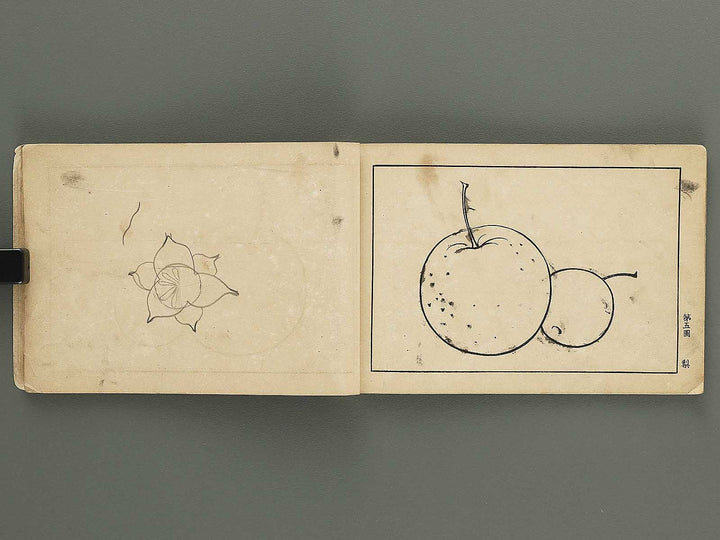 Koto shogaku mohitsuga tehon / BJ349-349