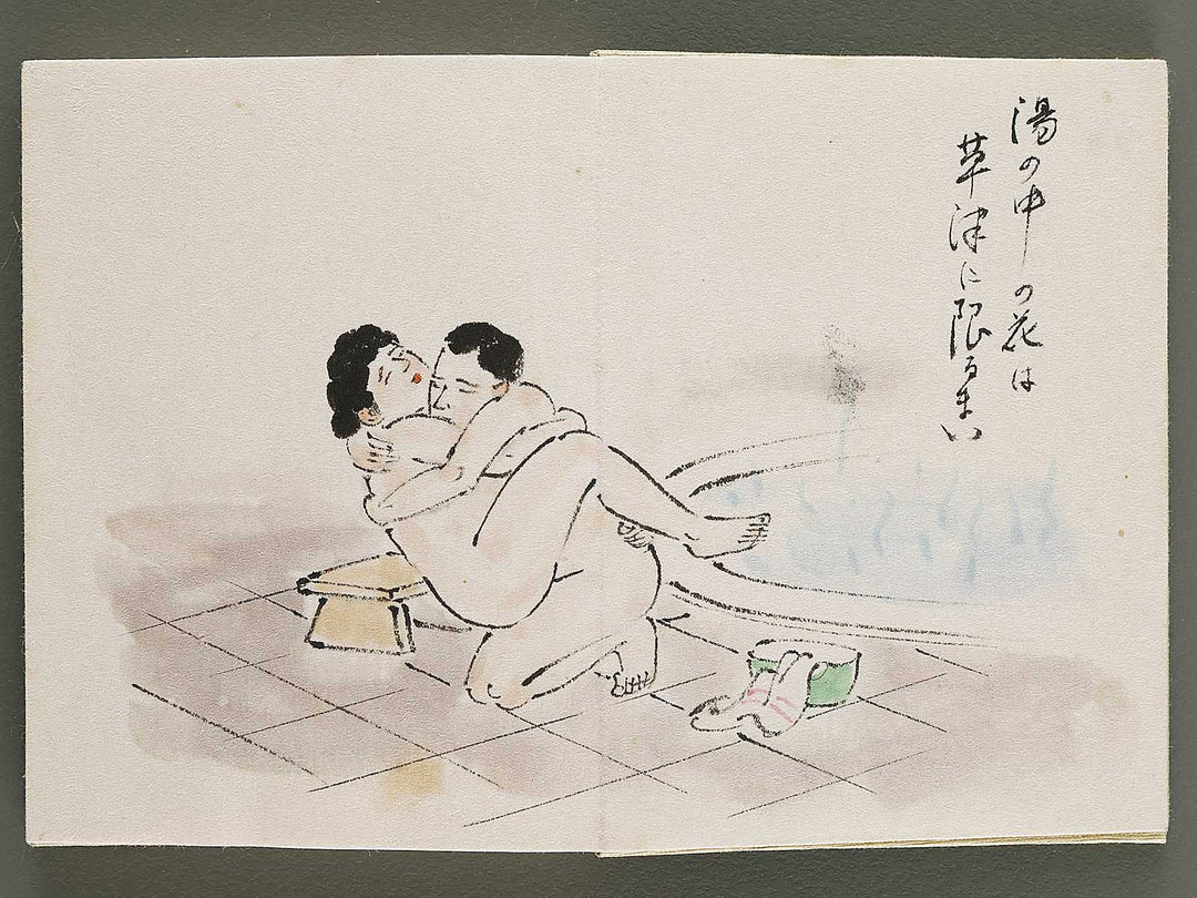 Gendai senryu kaigashu / BJ325-731