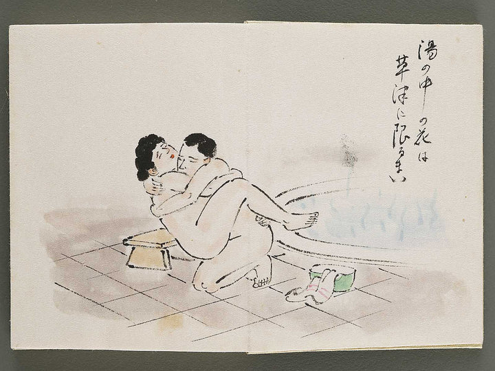 Gendai senryu kaigashu / BJ325-731