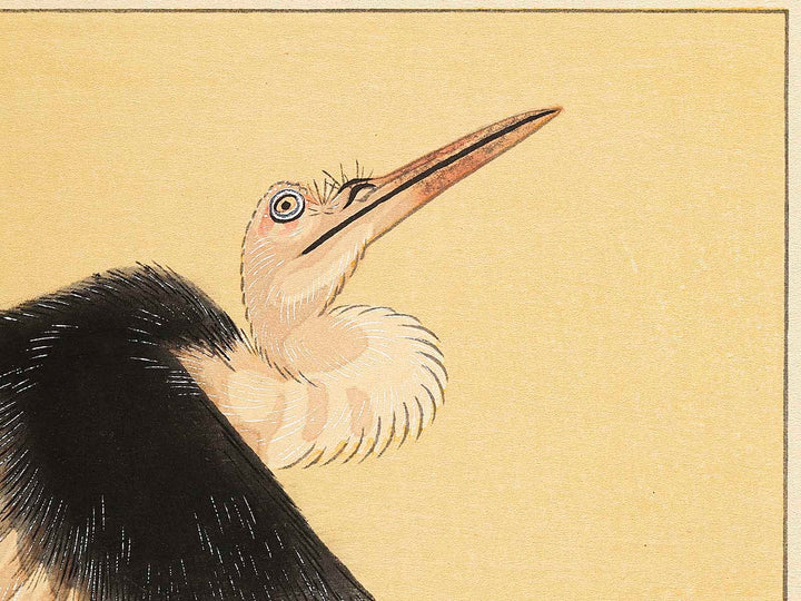 Konotori by Katsushika Hokusai, (Medium print size) / BJ319-634