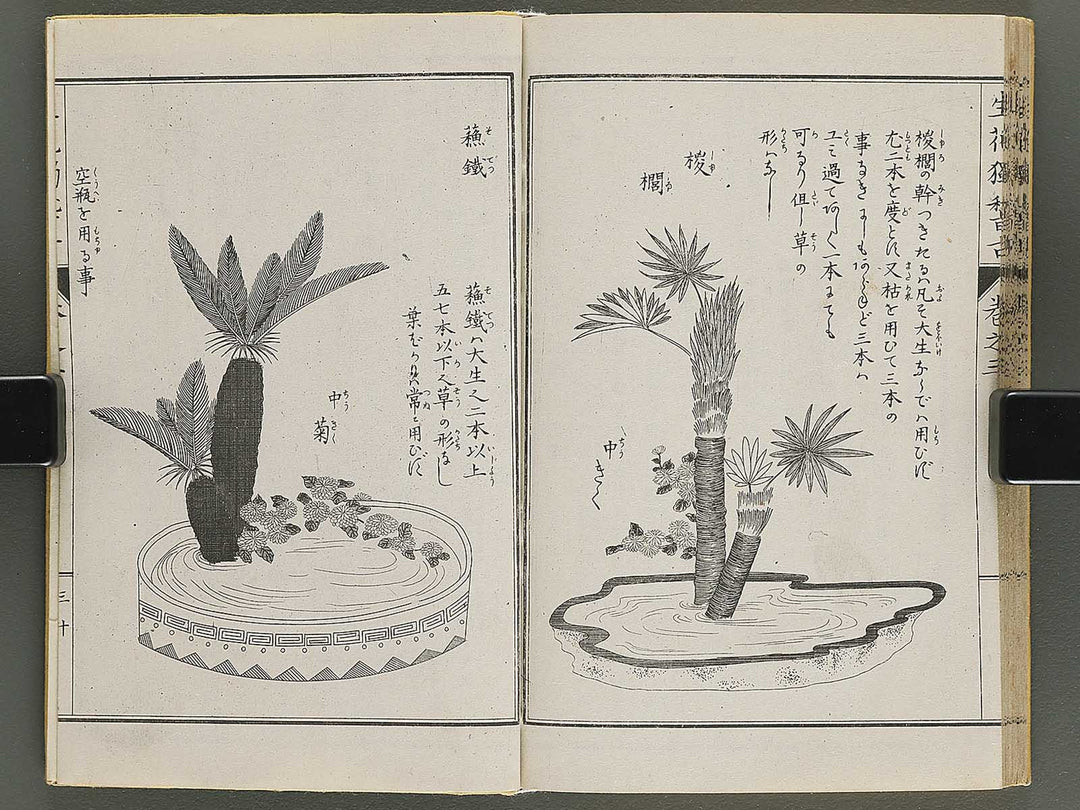 Shoryu hiden ikebana hitorigeiko Volume 3 / BJ347-942
