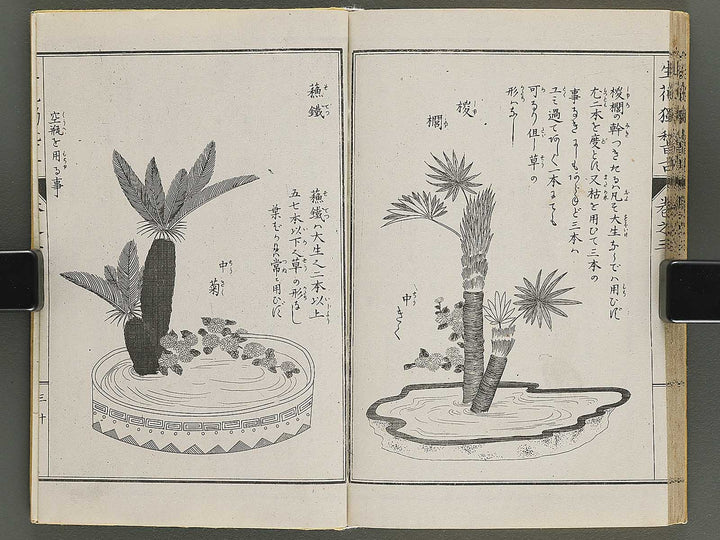 Shoryu hiden ikebana hitorigeiko Volume 3 / BJ347-942