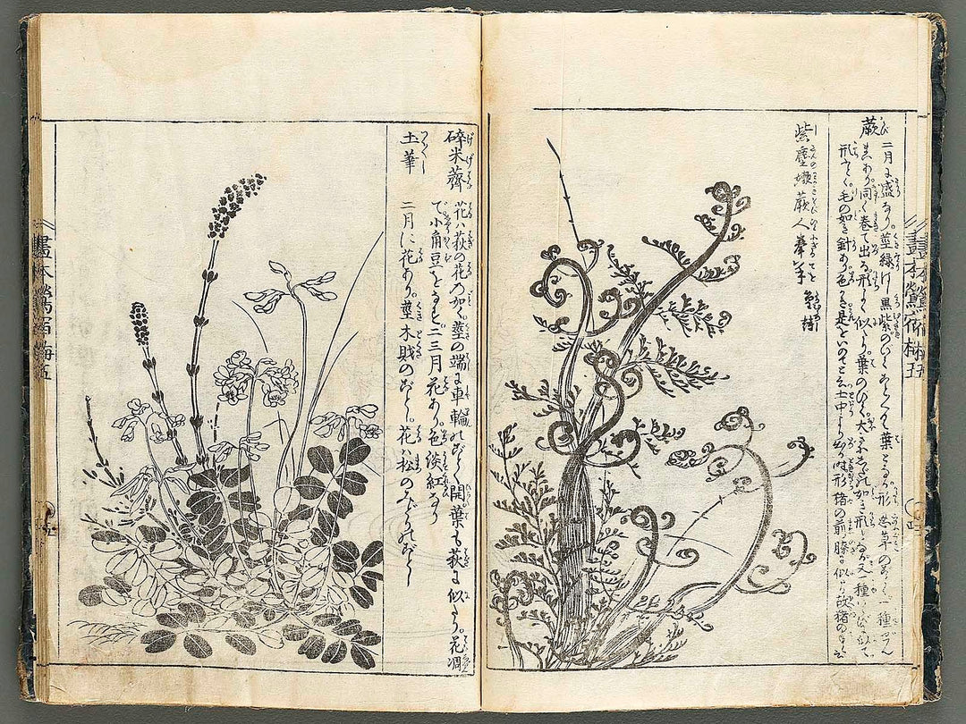 Ehon oushukubai Volume 5 by Tachibana Morikuni / BJ327-691