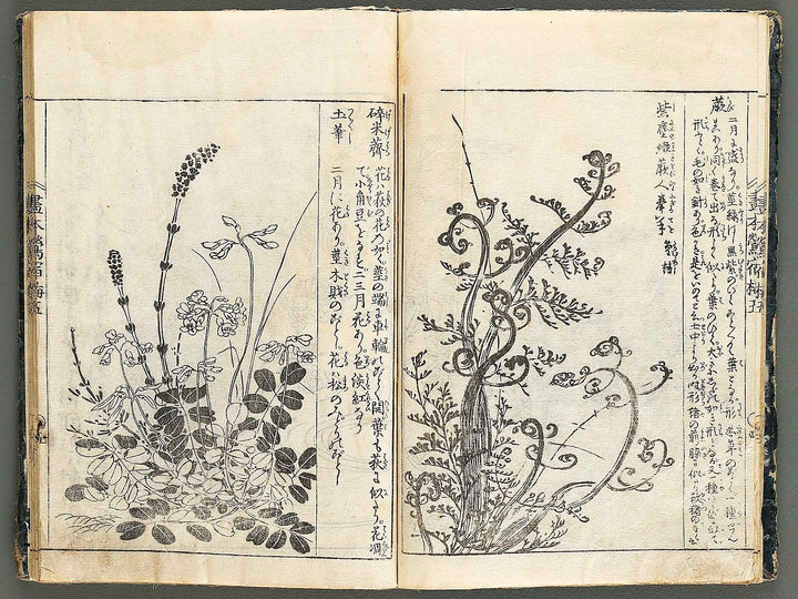 Ehon oushukubai Volume 5 by Tachibana Morikuni / BJ327-691