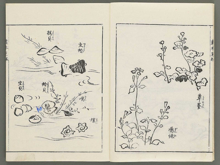 Korin michishirube by Nonomura Chube / BJ351-141