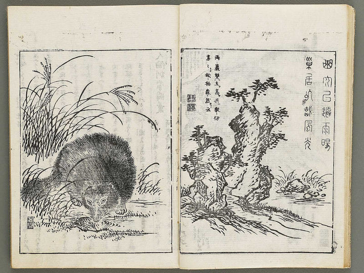 Enseki zasshi Volume 5, (Jo) / BJ329-518