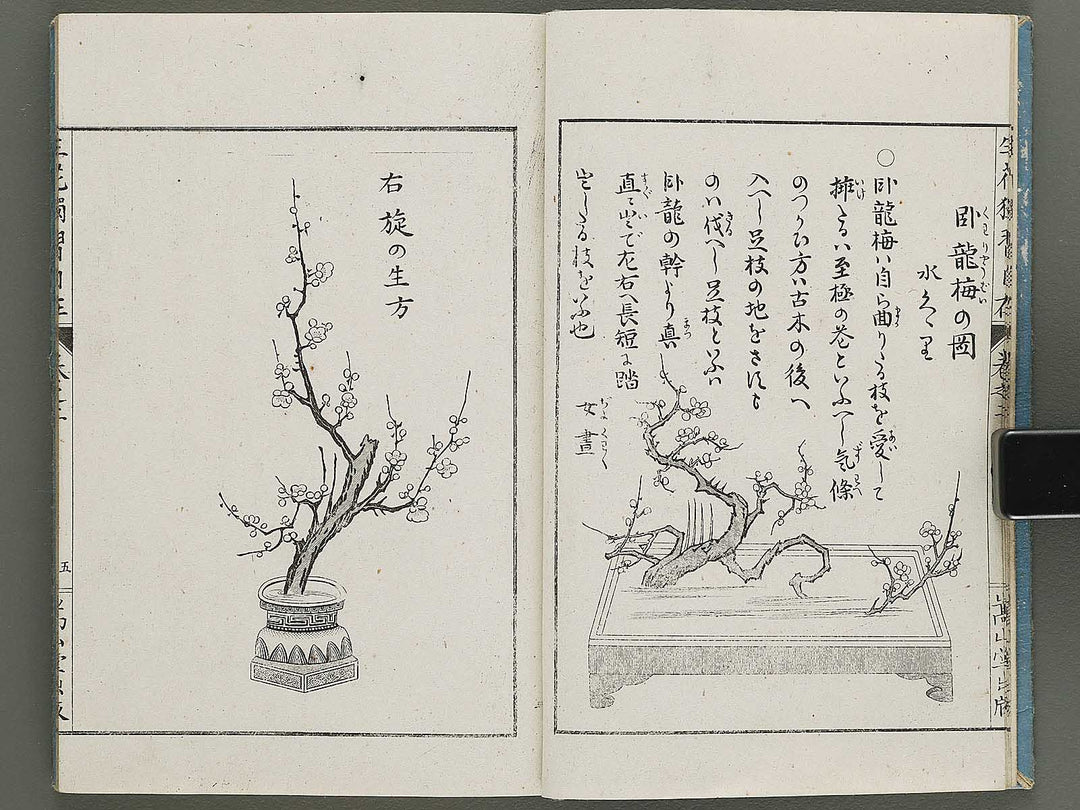 Shoryu hiden ikebana dokushu jizai Volume 2 / BJ332-745