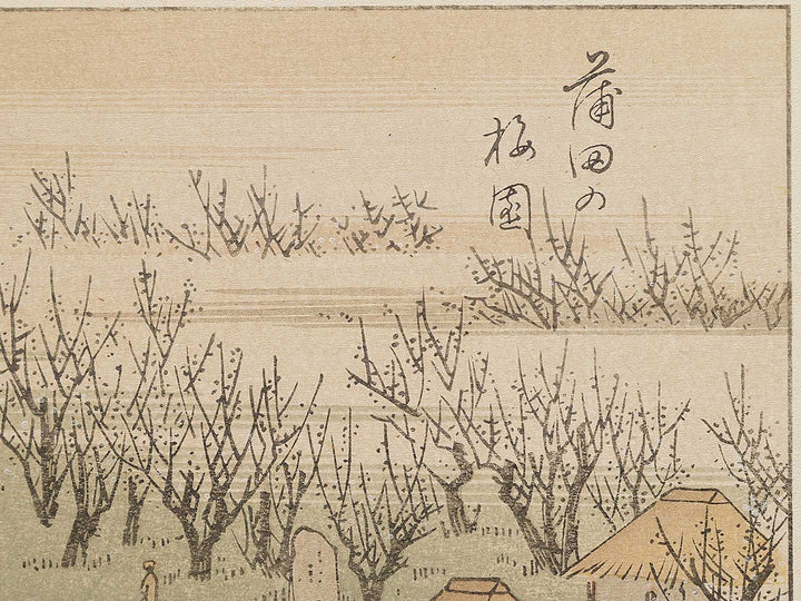 Kamata no baien from the series Ehon edo miyage by Utagawa Hiroshige, (Large print size) / BJ332-094