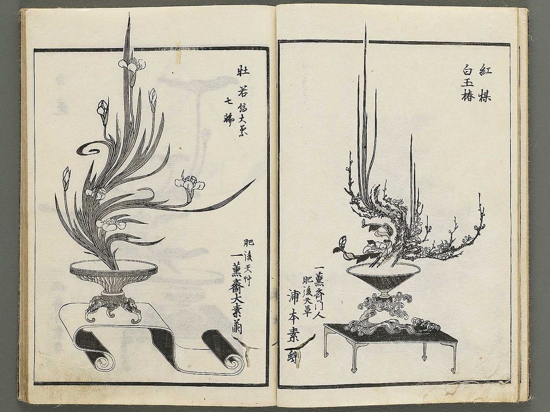Jikei onryu ikebana chiyo no matsu / BJ342-244