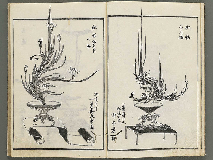 Jikei onryu ikebana chiyo no matsu / BJ342-244