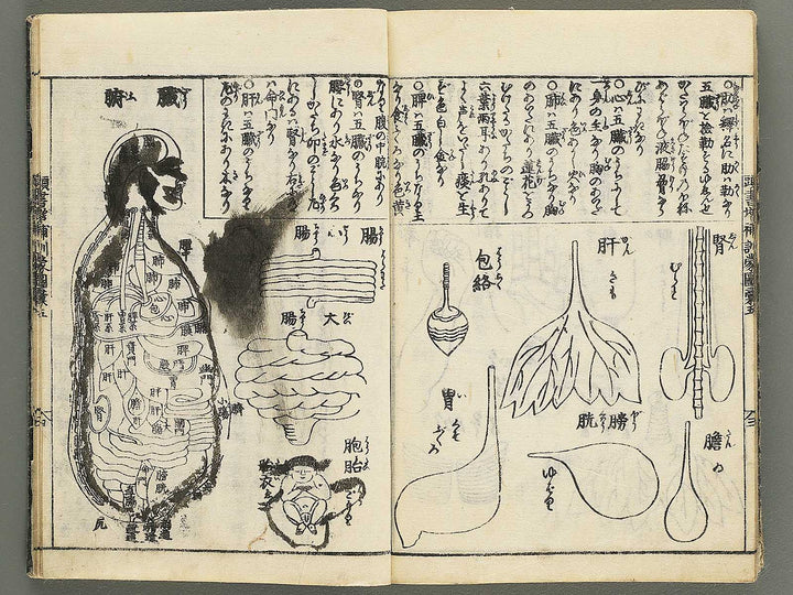 Kashiragaki zoho kinmo zui Volume 1 by Shimokobe Shusui / BJ350-917