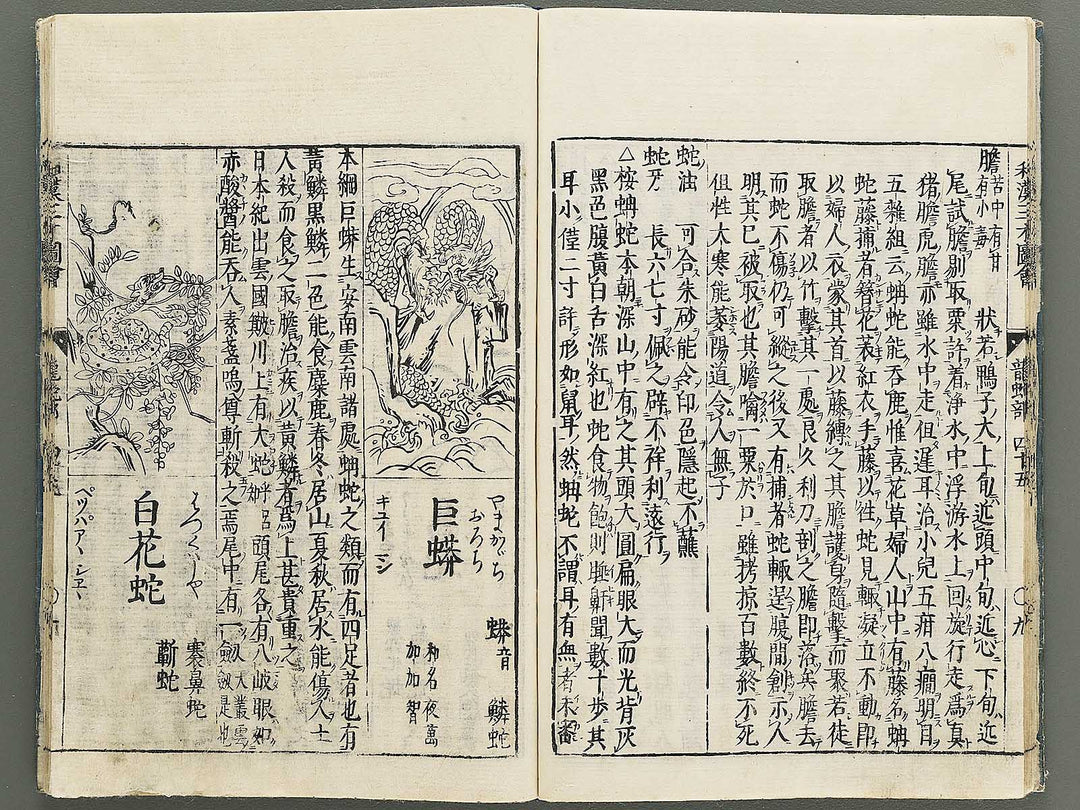 Wakan sansai zue Part 45, Book 46 / BJ349-230