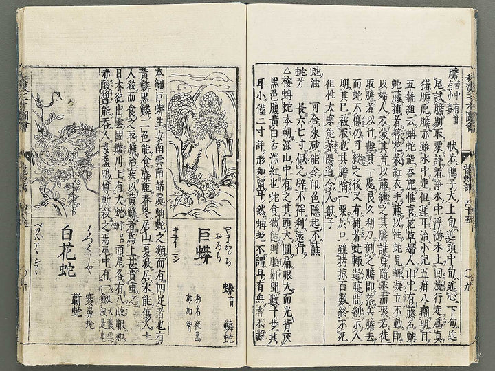 Wakan sansai zue Part 45, Book 46 / BJ349-230