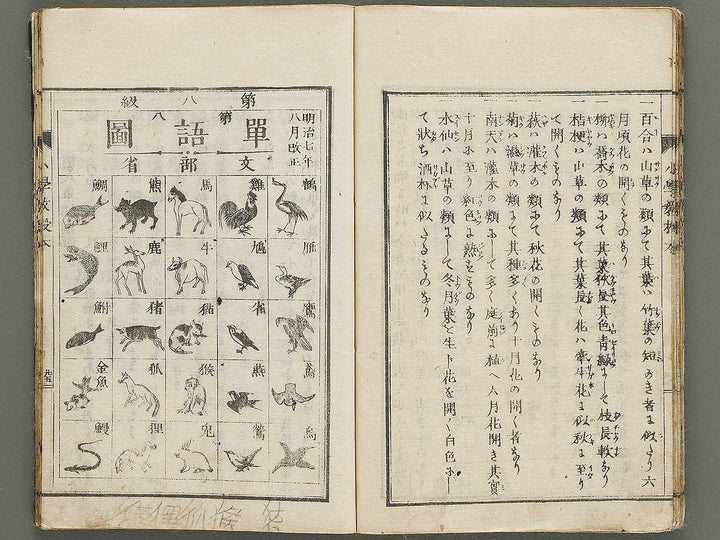 Shogaku kyojubon / BJ335-951