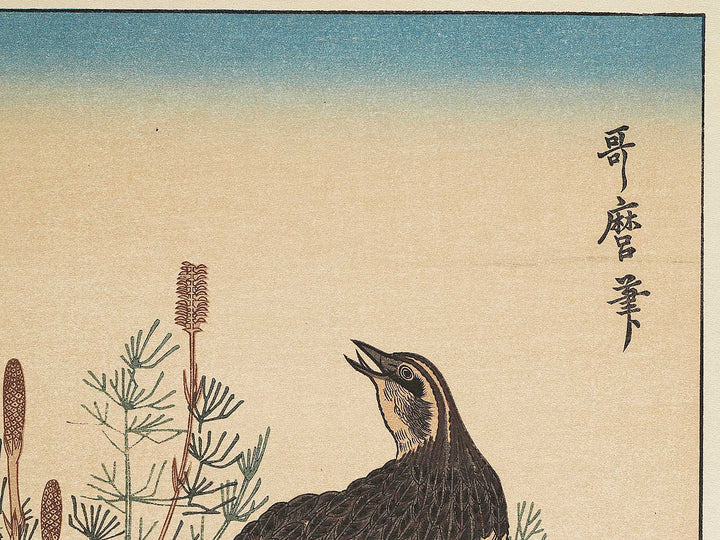 Quail and Skylark from the series Momotidori kyoka awase by Kitagawa Utamaro, (Large print size) / BJ306-887