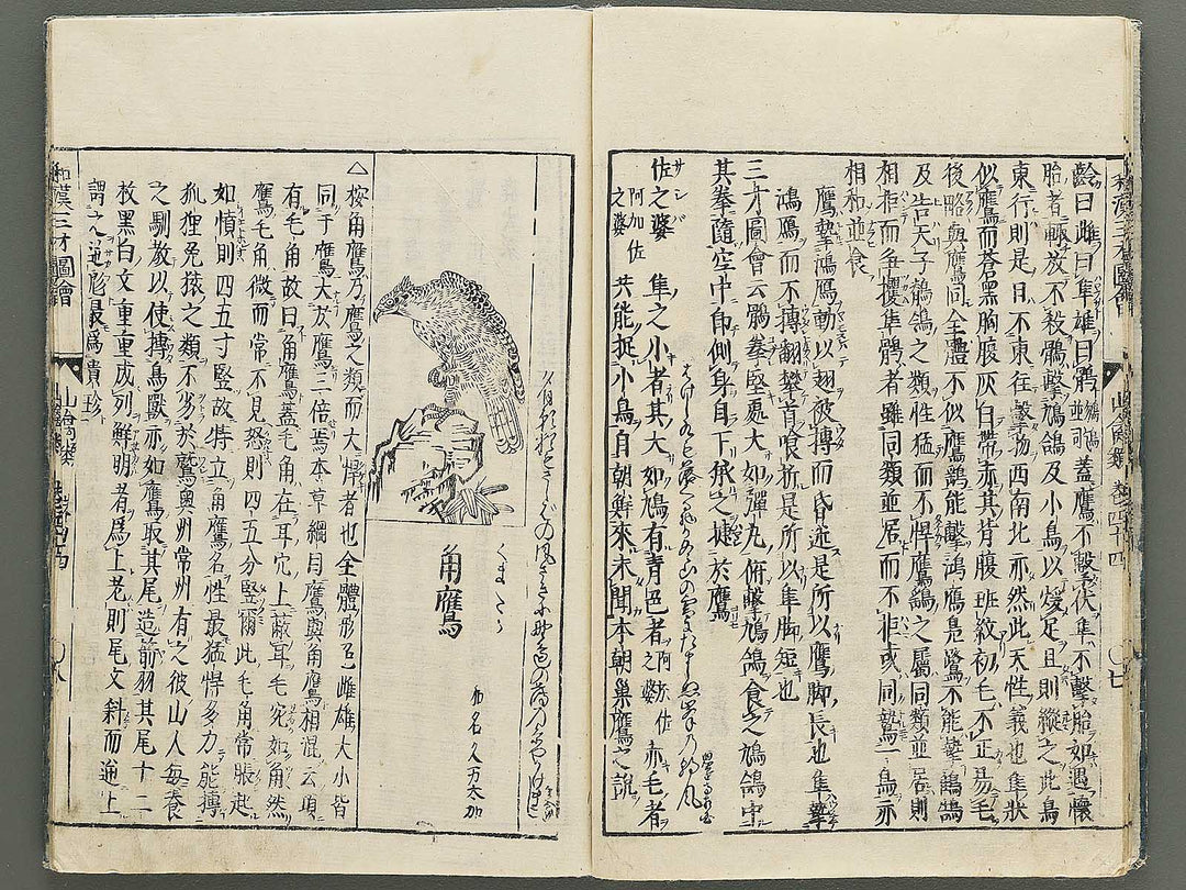Wakan sansai zue Volume 44 / BJ349-216