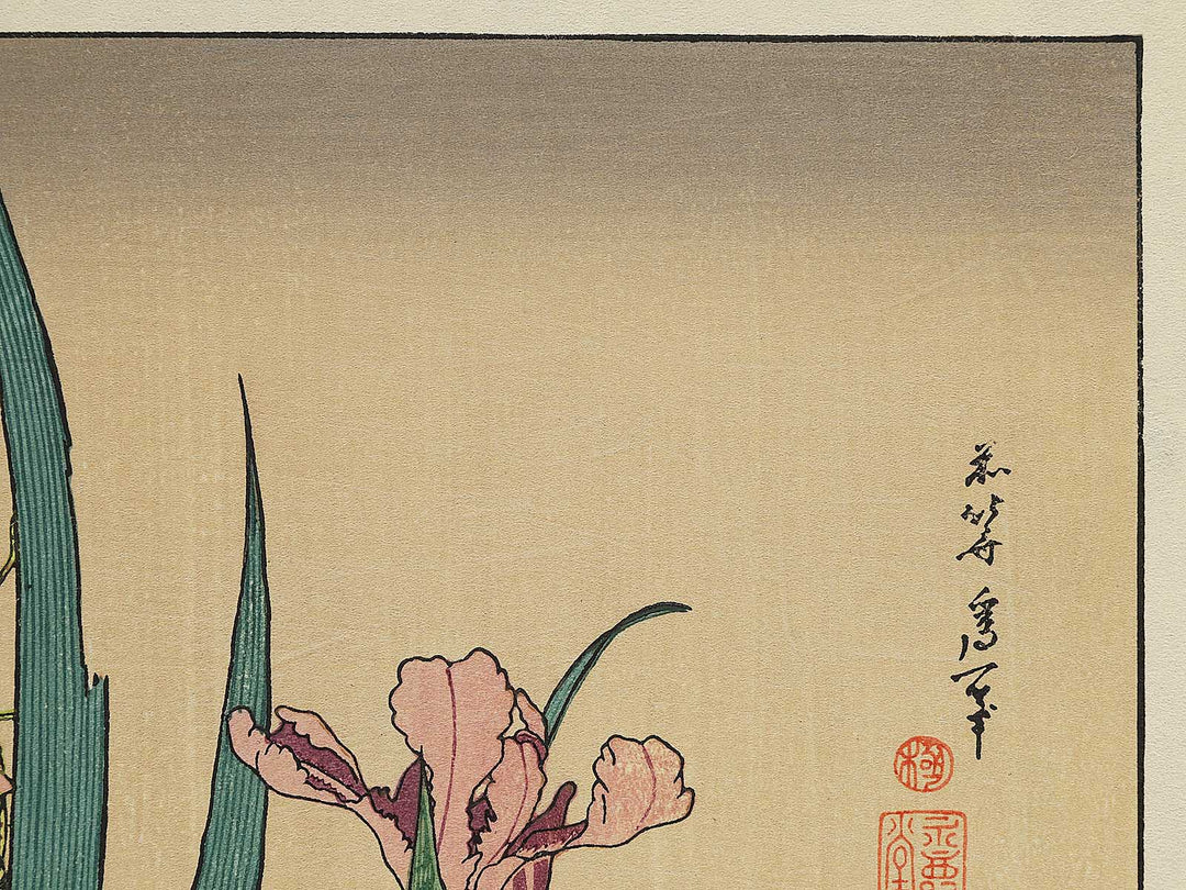 Iris and Grasshopper by Katsushika Hokusai, (Medium print size) / BJ300-573