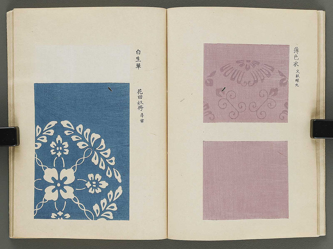 Kojitsu sosho shokumon zue Miyukibu kohen / BJ318-521