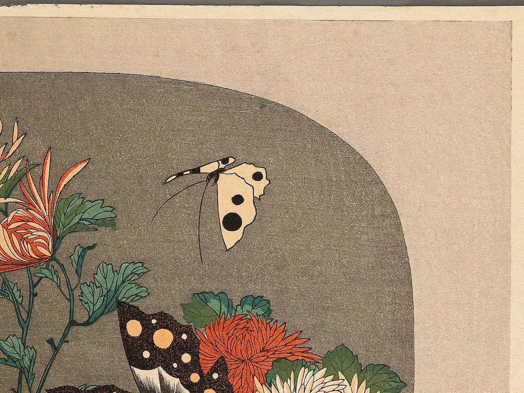 Kiku ni cho by Utagawa Hiroshige, (Large print size) / BJ323-281