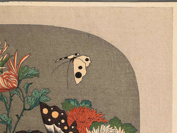 Kiku ni cho by Utagawa Hiroshige, (Large print size) / BJ323-281