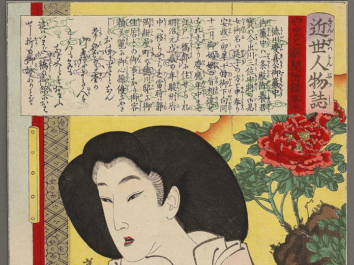 Tokugawa keiki-ko gorenchu from the series Kinsei jinbutsu shi by Tsukioka Yoshitoshi / BJ337-757