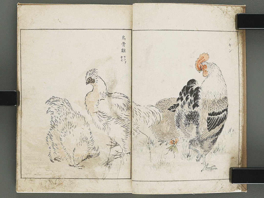 Shucho gafu (Jin) (Part 3 of 3) by Numata Kashu / BJ339-752