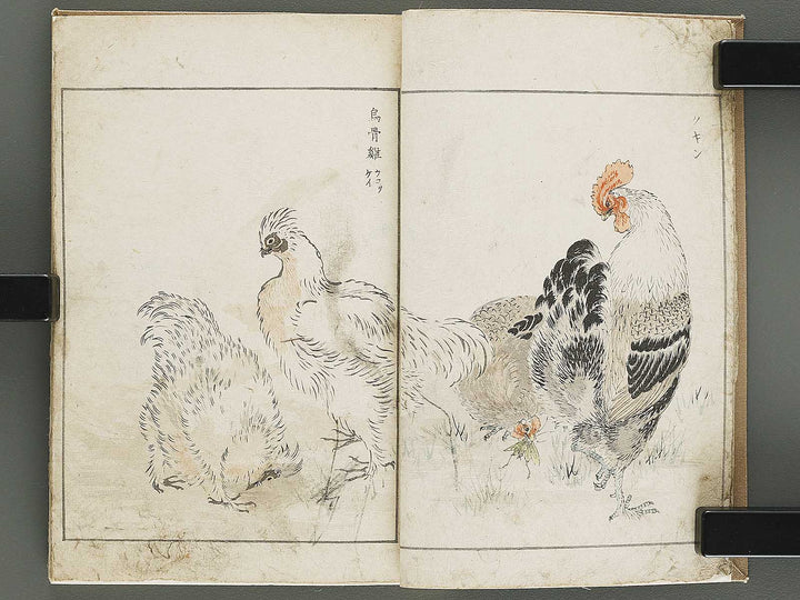 Shucho gafu (Jin) (Part 3 of 3) by Numata Kashu / BJ339-752