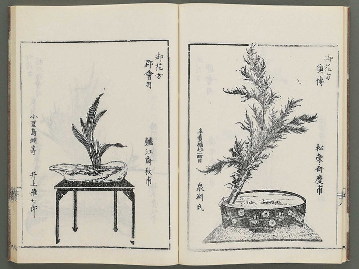 Naniwa no hana by Matsukawa Hanzan / BJ348-992