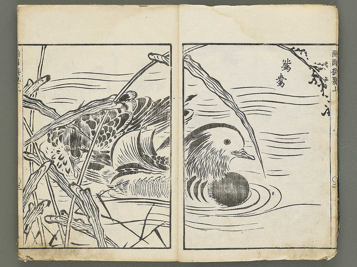 Gazu senyo (Jo) by Gyokusuisai Yoshikane / BJ354-249