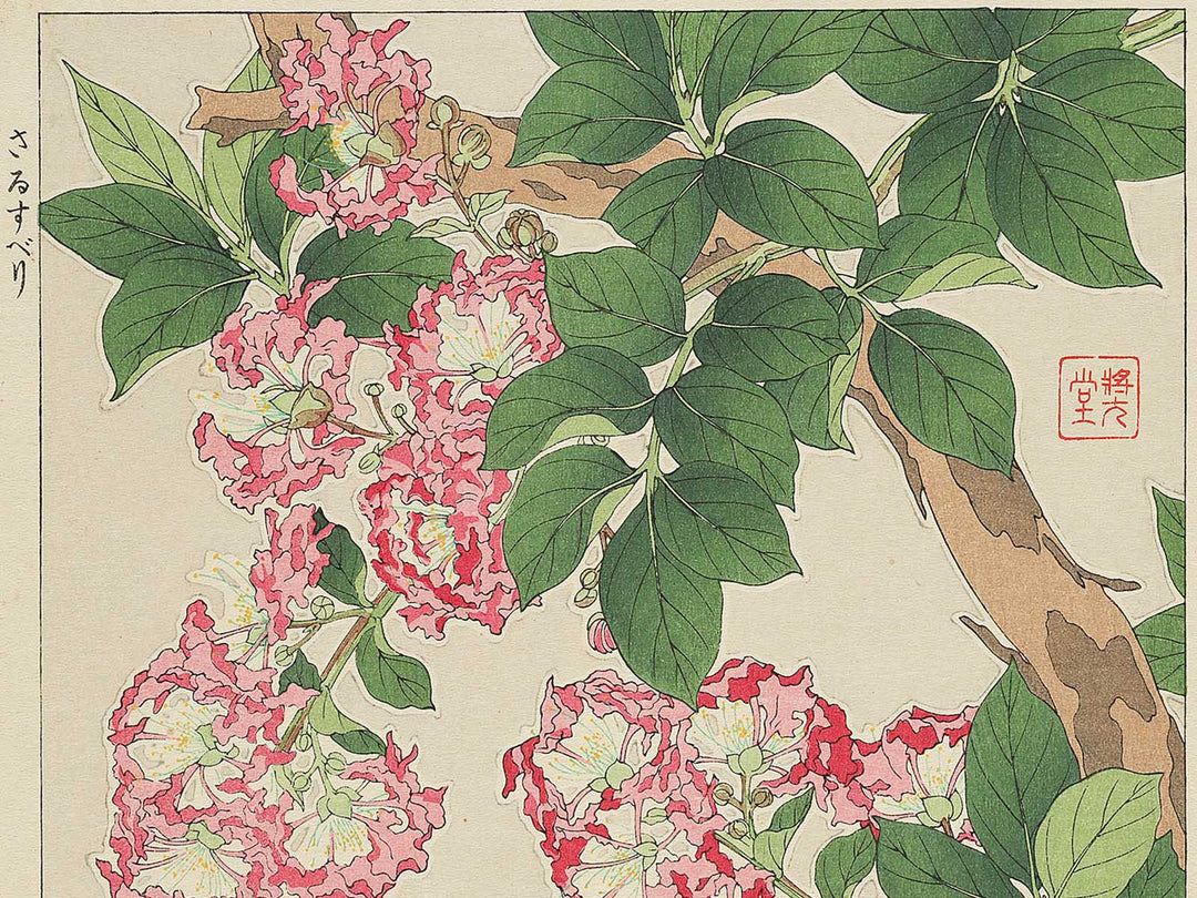Sarusuberi by Kawarazaki Shodo, (Large print size) / BJ348-005