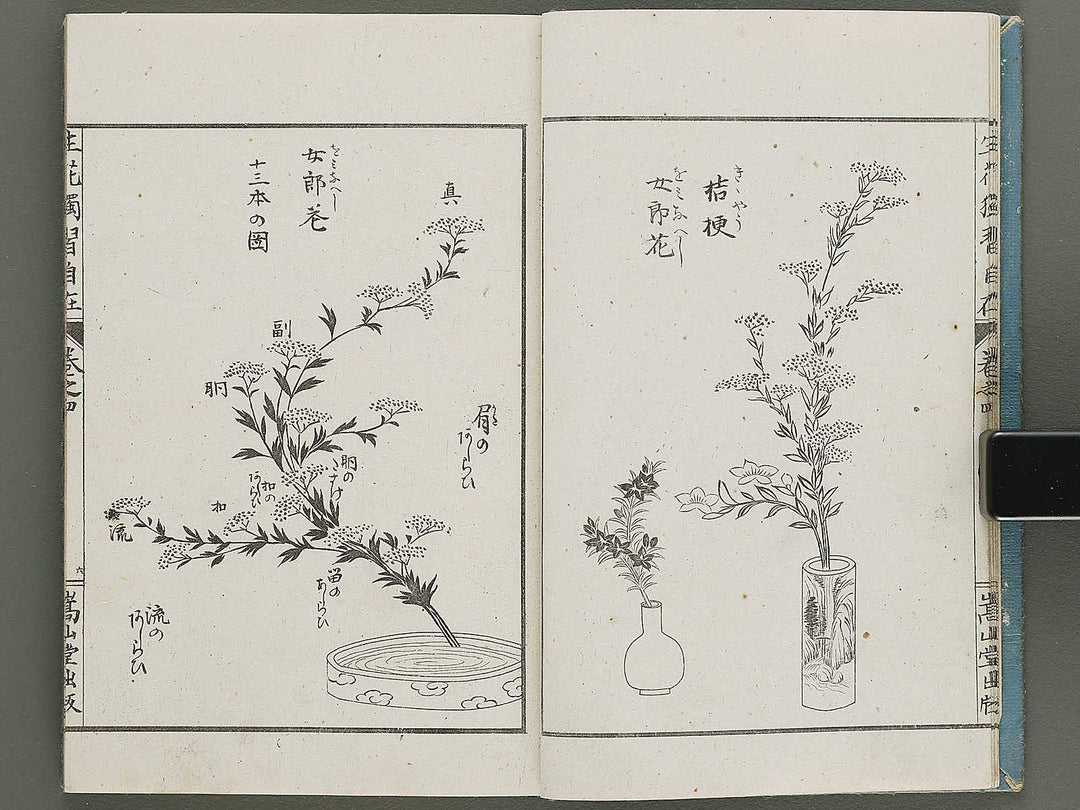 Shoryu hiden ikebana dokushu jizai Volume 4 / BJ332-759