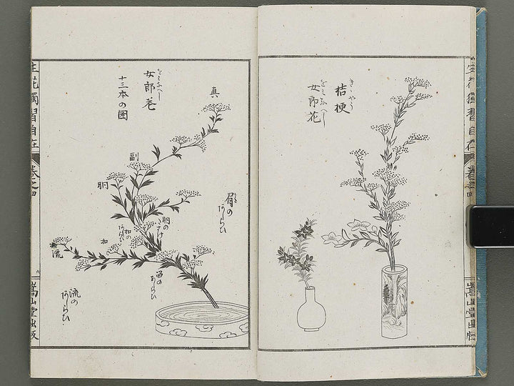 Shoryu hiden ikebana dokushu jizai Volume 4 / BJ332-759