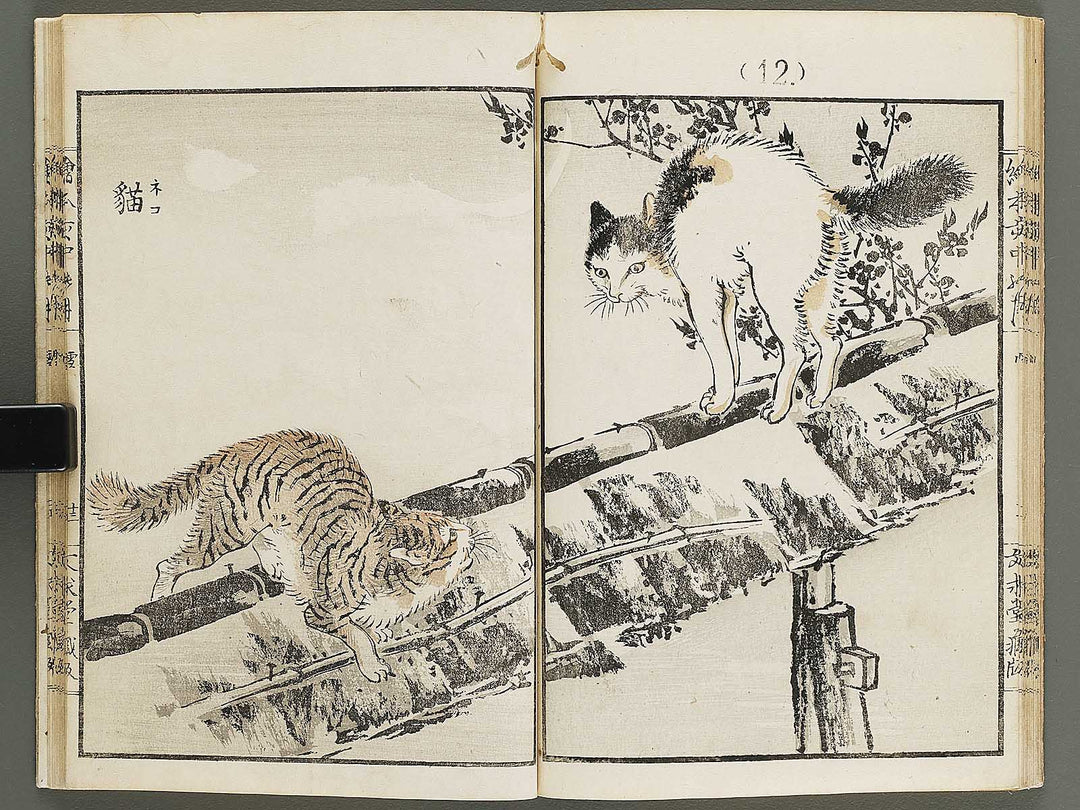 Ehon inaka no tsuki Setsu by Kono Bairei / BJ341-222