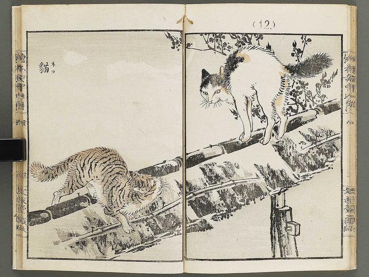 Ehon inaka no tsuki Setsu by Kono Bairei / BJ341-222