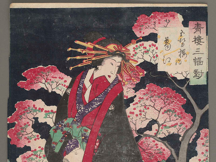 Goseiro uchi Kuzue from the series Seiro sanpukutui by Utagawa Yoshitora / BJ279-006