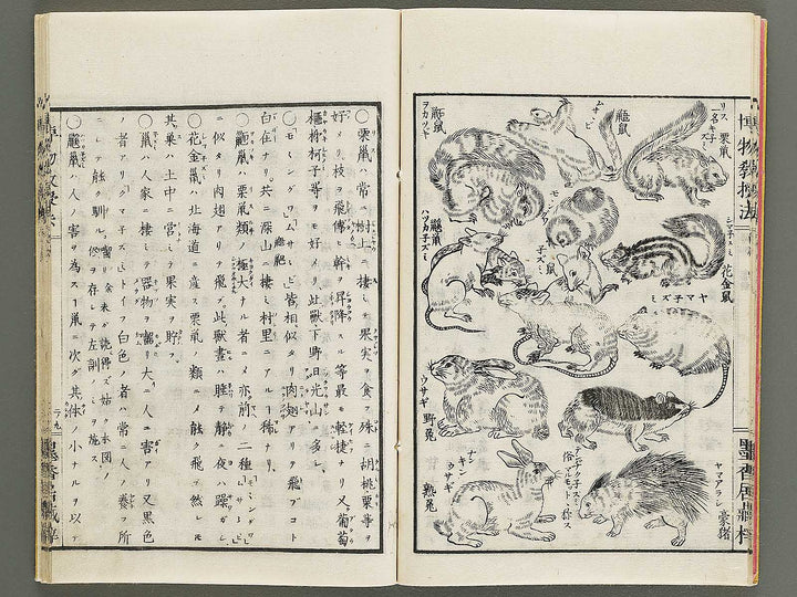 Hakubutsu kyojyuho Volume 2 / BJ341-579