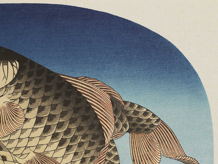Koi by Katsushika Hokusai, (Large print size) / BJ337-603
