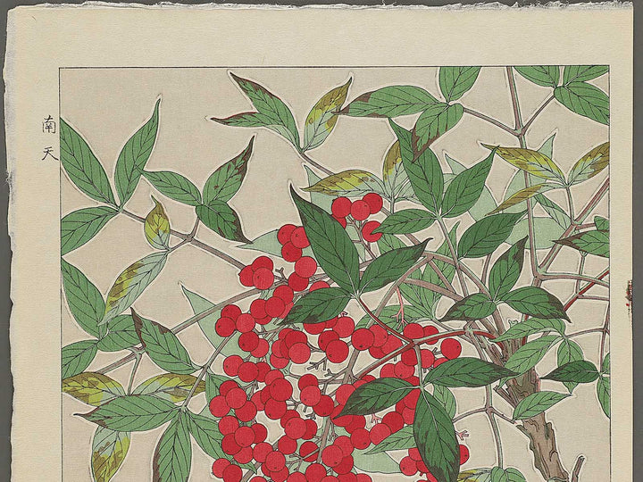 Nanten by Kawarazaki Shodo, (Large print size) / BJ345-576
