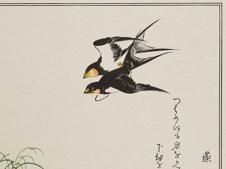 Swallow and Pheasant from the series Momochidori kyoka awase by Kitagawa Utamaro, (Large print size) / BJ327-964