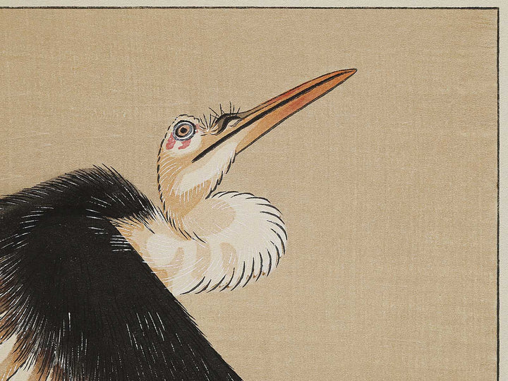 Konotori by Katsushika Hokusai, (Medium print size) / BJ324-975