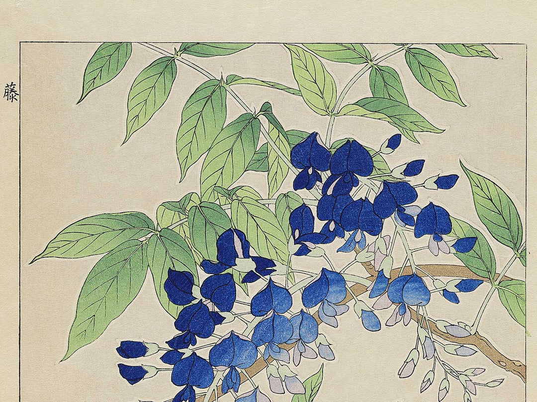 Fuji by Kawarazaki Shodo, (Large print size) / BJ347-998