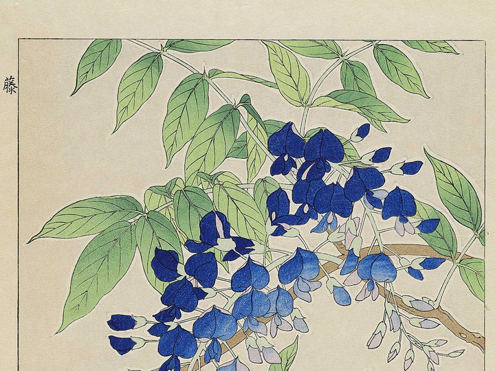 Fuji by Kawarazaki Shodo, (Large print size) / BJ347-998