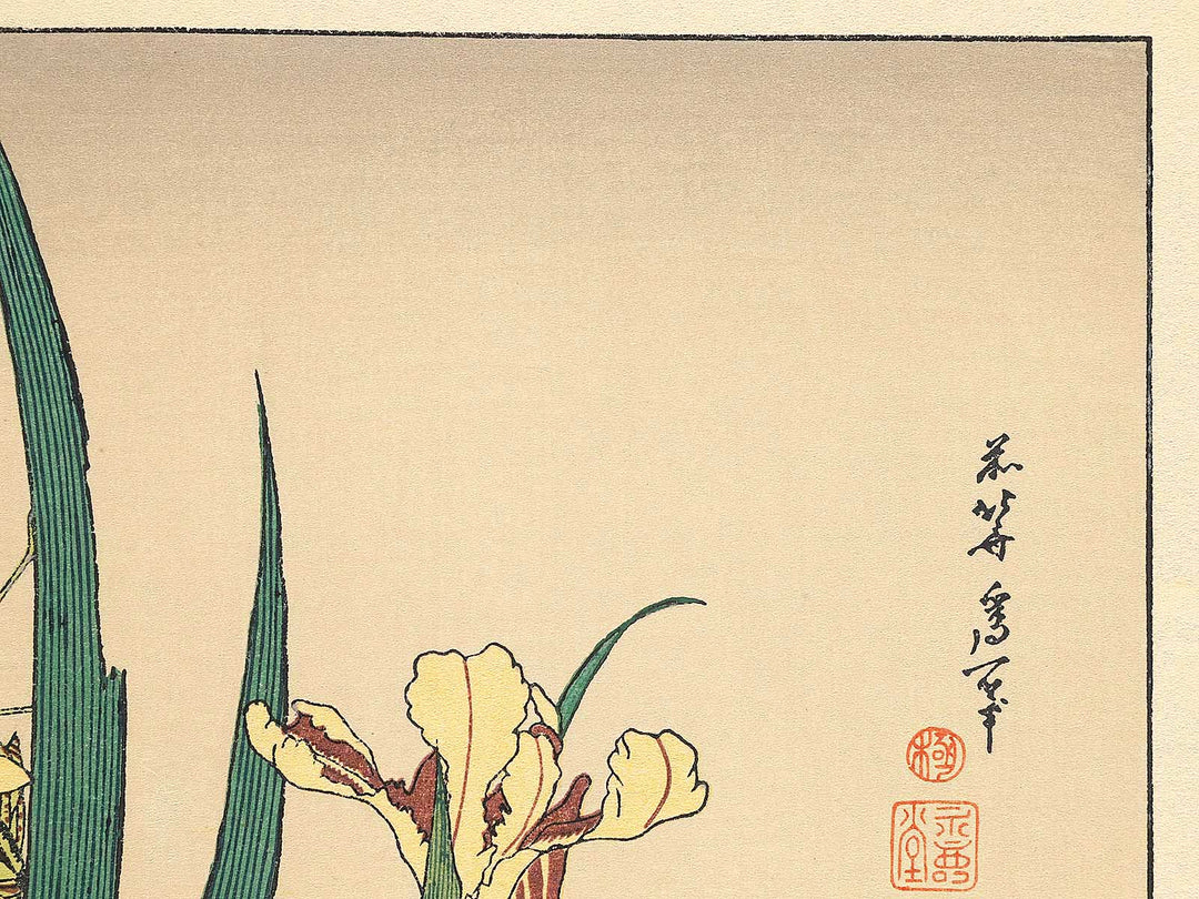 Iris and Grasshopper by Katsushika Hokusai, (Medium print size) / BJ307-426