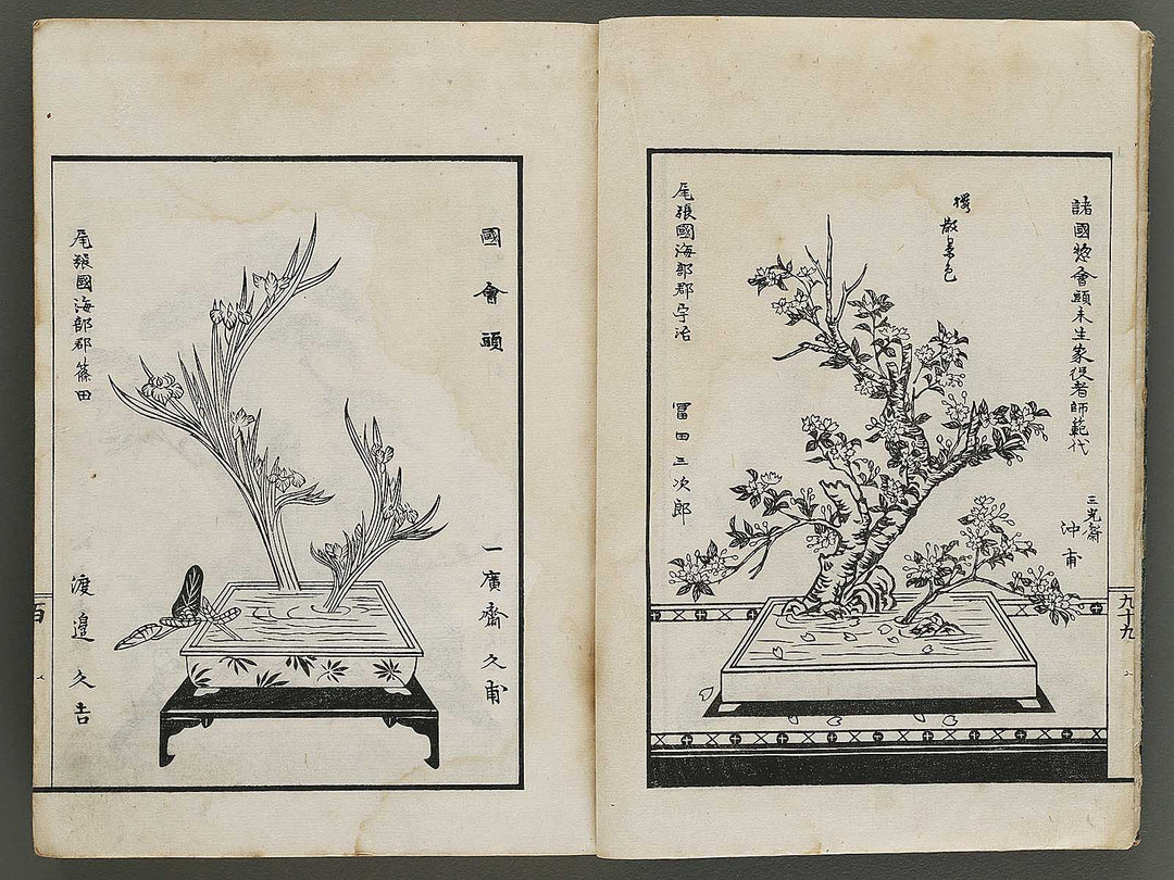 Kinen soka sanko no kaori (Ge) by Sawamura Riho / BJ324-688