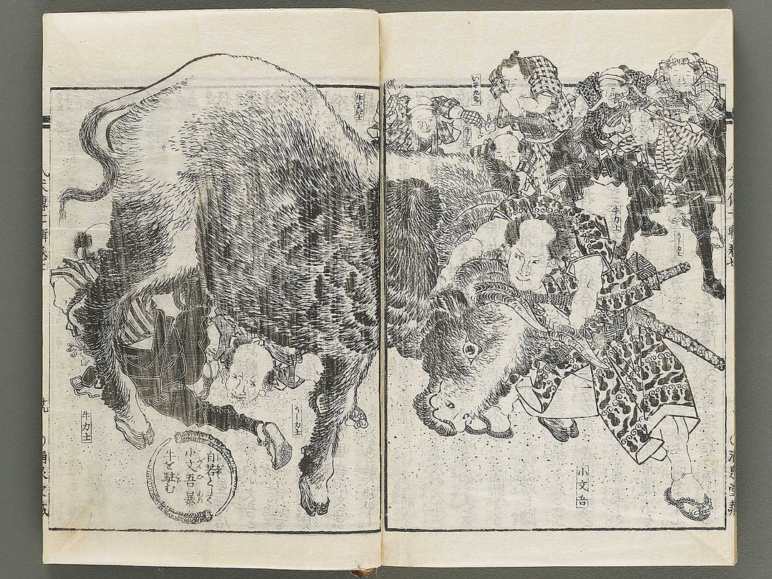 Nanso satomi hakkenden Volume 7 by Keisai Eisen / BJ316-288