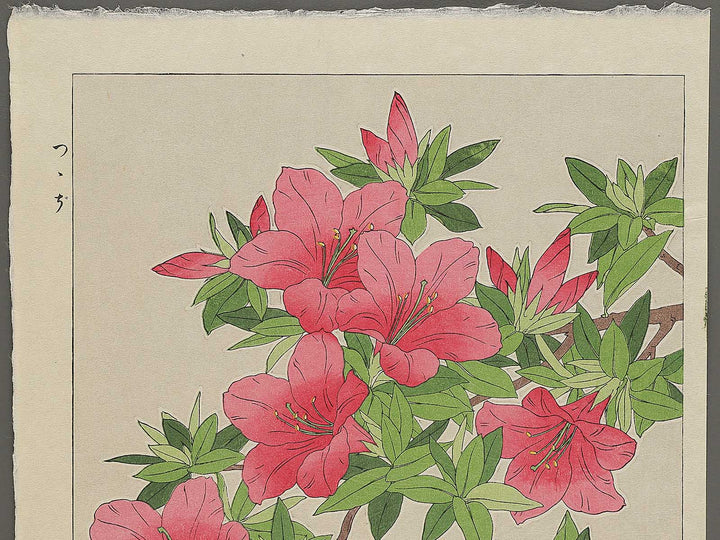 Tsutsuji by Kawarazaki Shodo, (Large print size) / BJ346-262