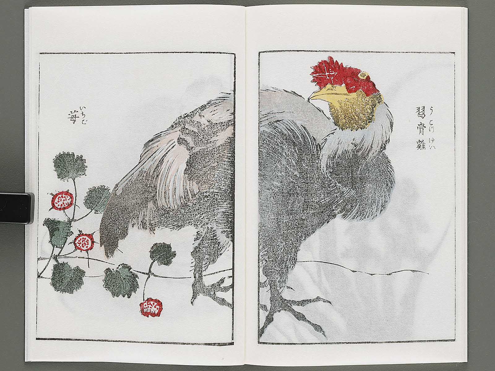 Denshin kaishu hokusai gaen by Katsushika Hokusai / BJ317