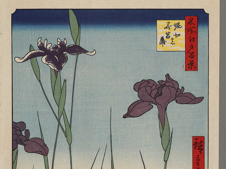 Horikiri Iris Garden from the series One Hundred Famous Views of Edo by Utagawa Hiroshige, (Large print size) / BJ318-458