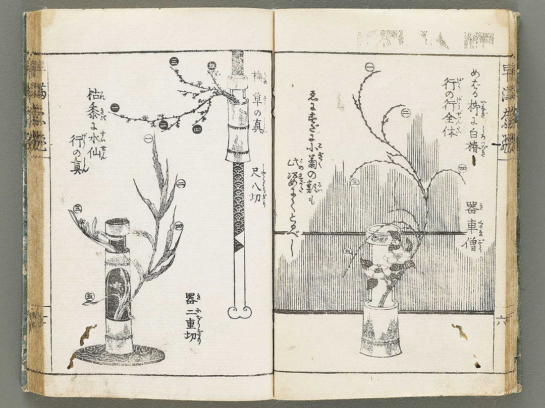 Ikebana hayamanabi / BJ331-275