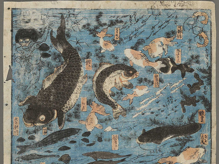 Sakana zukushi / BJ325-836